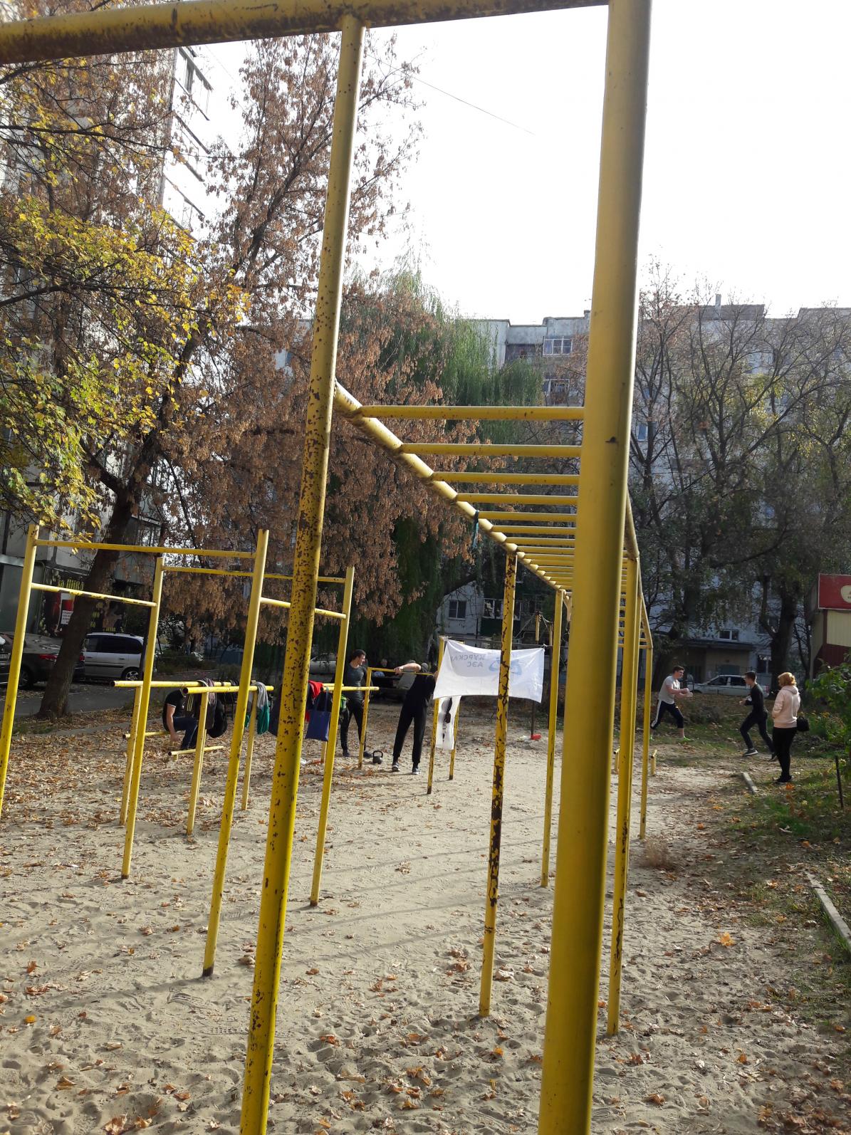 Liegestützgriffe bei Calisthenics Park at Хуторская улица, городской округ Курск – Foto 2 von 4