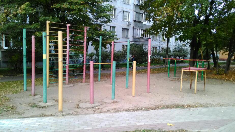 Barren bei Calisthenics Park at улица Объединения, Балашиха – Foto 2 von 3