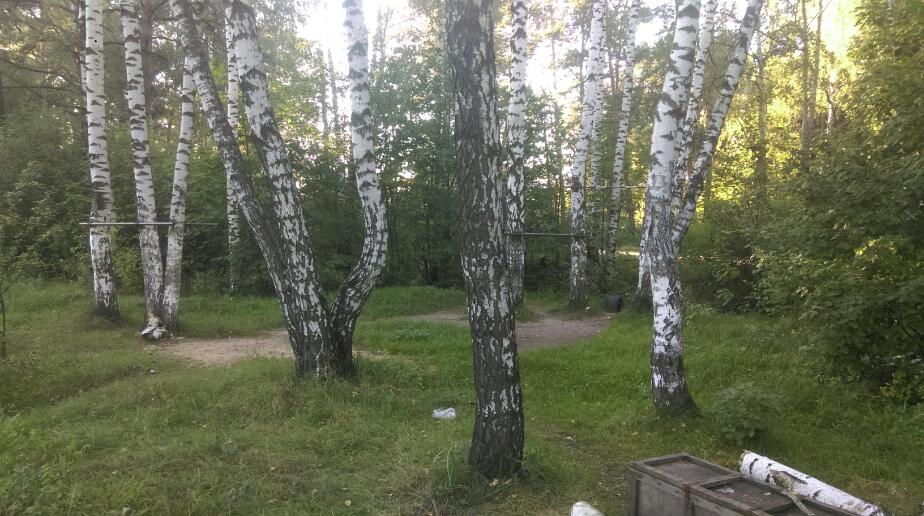 Barren bei Calisthenics Park at Ласточкин проезд, Балашиха – Foto 2 von 3