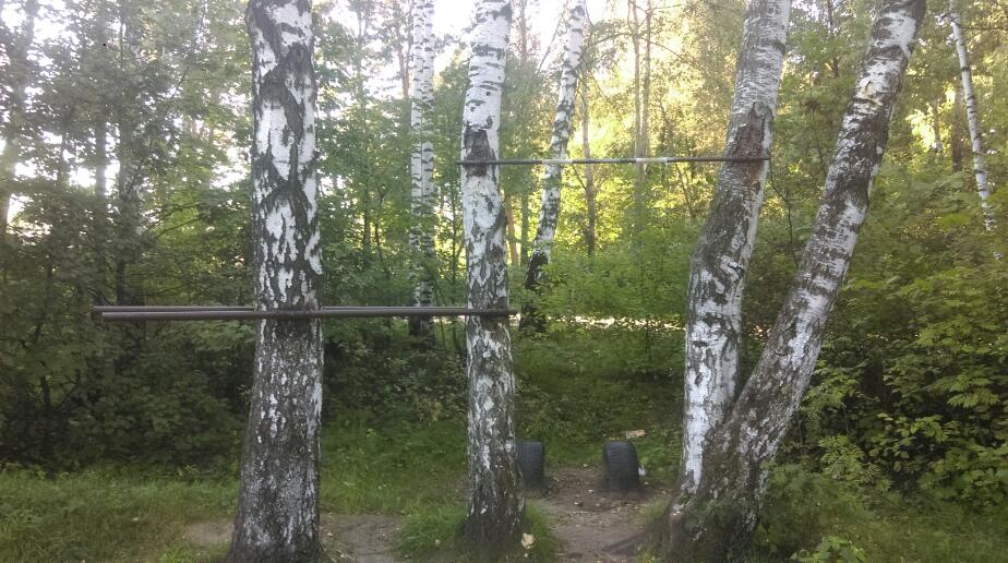 Klimmzugstange bei Calisthenics Park at Ласточкин проезд, Балашиха – Foto 1 von 3
