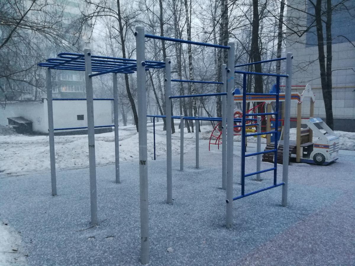Parallel Gym Bars at Calisthenics Park at Нахимовский проспект, Москва #wp2477 – photo 2 of 2
