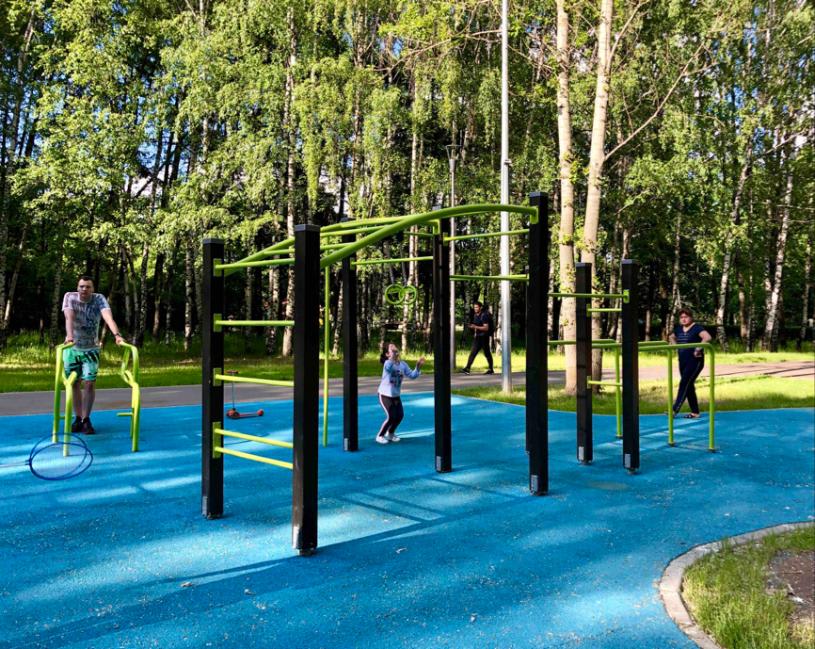 Monkey Bars at Calisthenics Park at улица Удальцова, Москва #wp2508 – photo 3 of 6