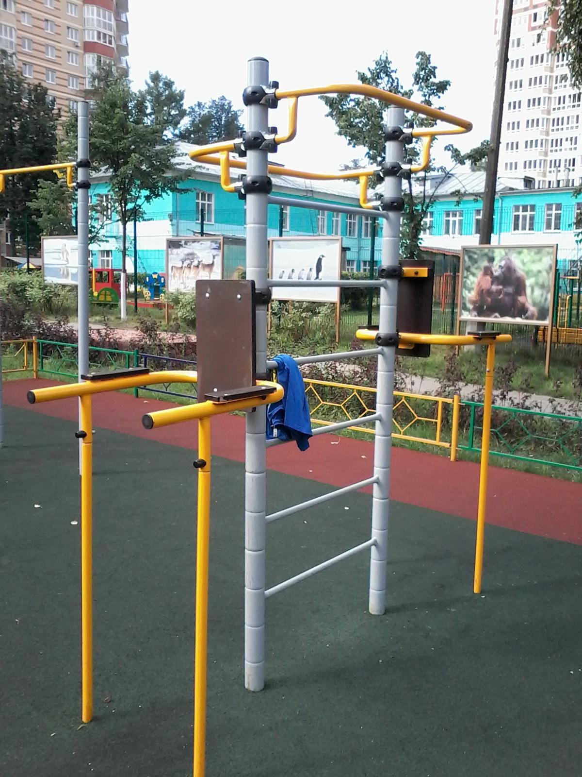 Bară de flotări la Calisthenics Park at Школьная улица, Ивантеевка – fotografia 14 din 15
