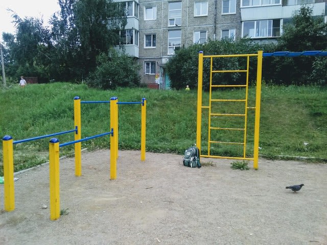 Bară de tracțiuni la Outdoor Gym in Приморский микрорайон, Иркутск – fotografia 1 din 6