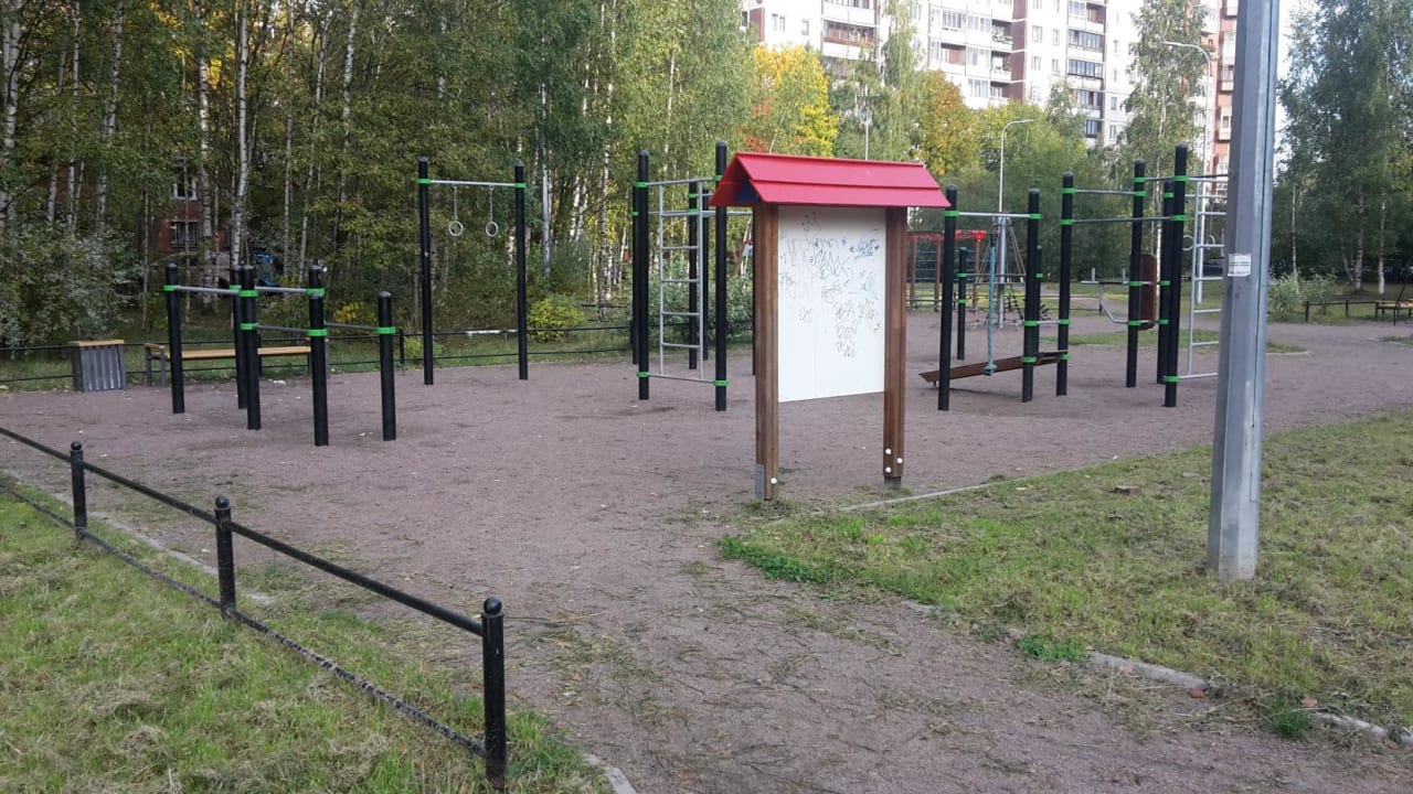 Gymnastic Rings at Calisthenics Park at Шлиссельбургский проспект, Санкт-Петербург – photo 7 of 7