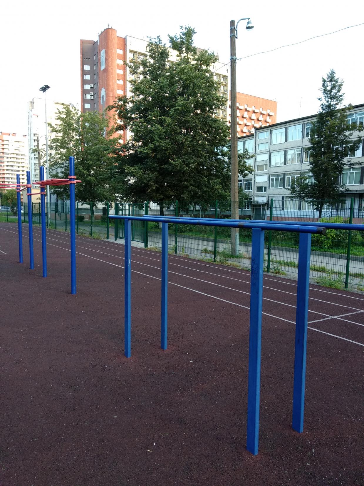 Barras Paralelas en Calisthenics Park at улица Буренина, Санкт-Петербург – foto 2 de 4