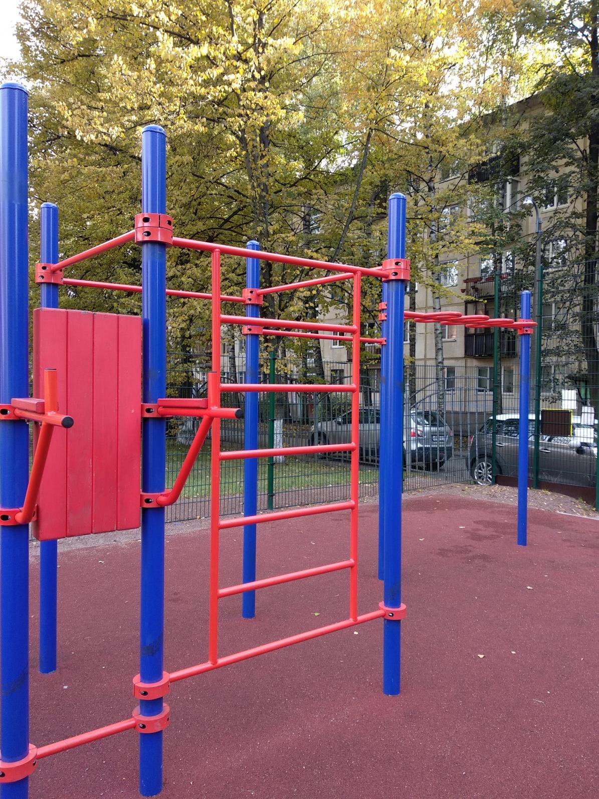 Monkey Bars at Calisthenics Park at проспект Маршала Блюхера, Санкт-Петербург – photo 7 of 9