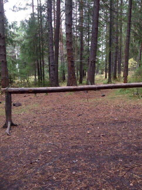 Klimmzugstange bei Outdoor Gym in Запрудный, Нижний Тагил – Foto 1 von 3