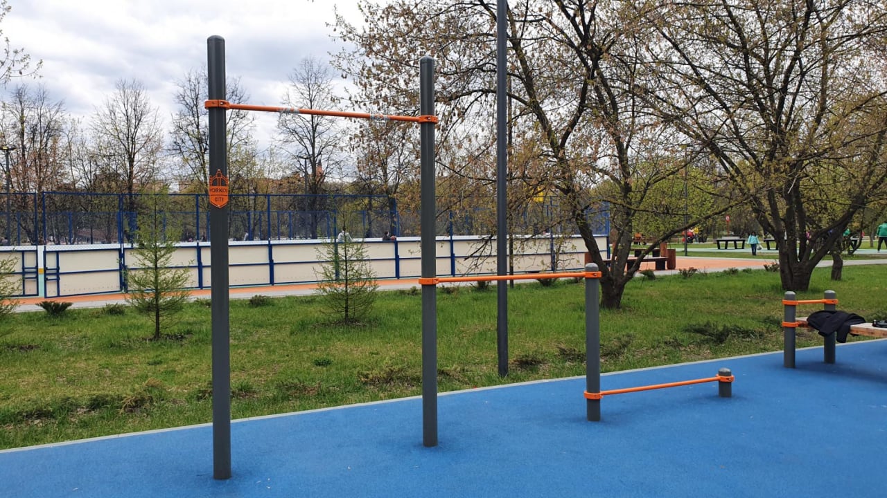 Push Up Bar at Calisthenics Park at аллея Ветеранов, Москва #wp2661 – photo 6 of 8