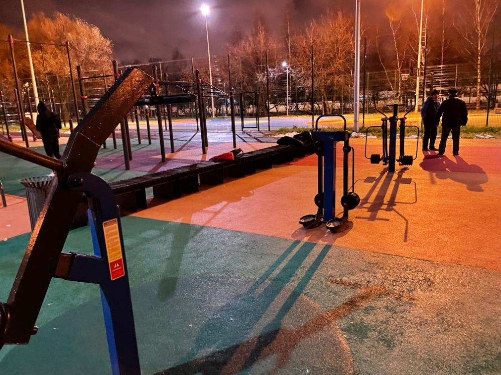 Monkey Bars at Calisthenics Park at набережная Говорухина, Москва – photo 3 of 3