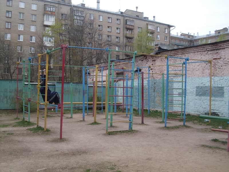 Monkey Bars at Calisthenics Park at проектируемый проезд № 6024, Москва – photo 3 of 5