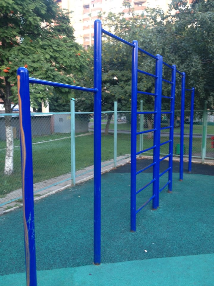 Parallel Gym Bars at Calisthenics Park at улица Академика Полякова, Москва #wp2714 – photo 2 of 6