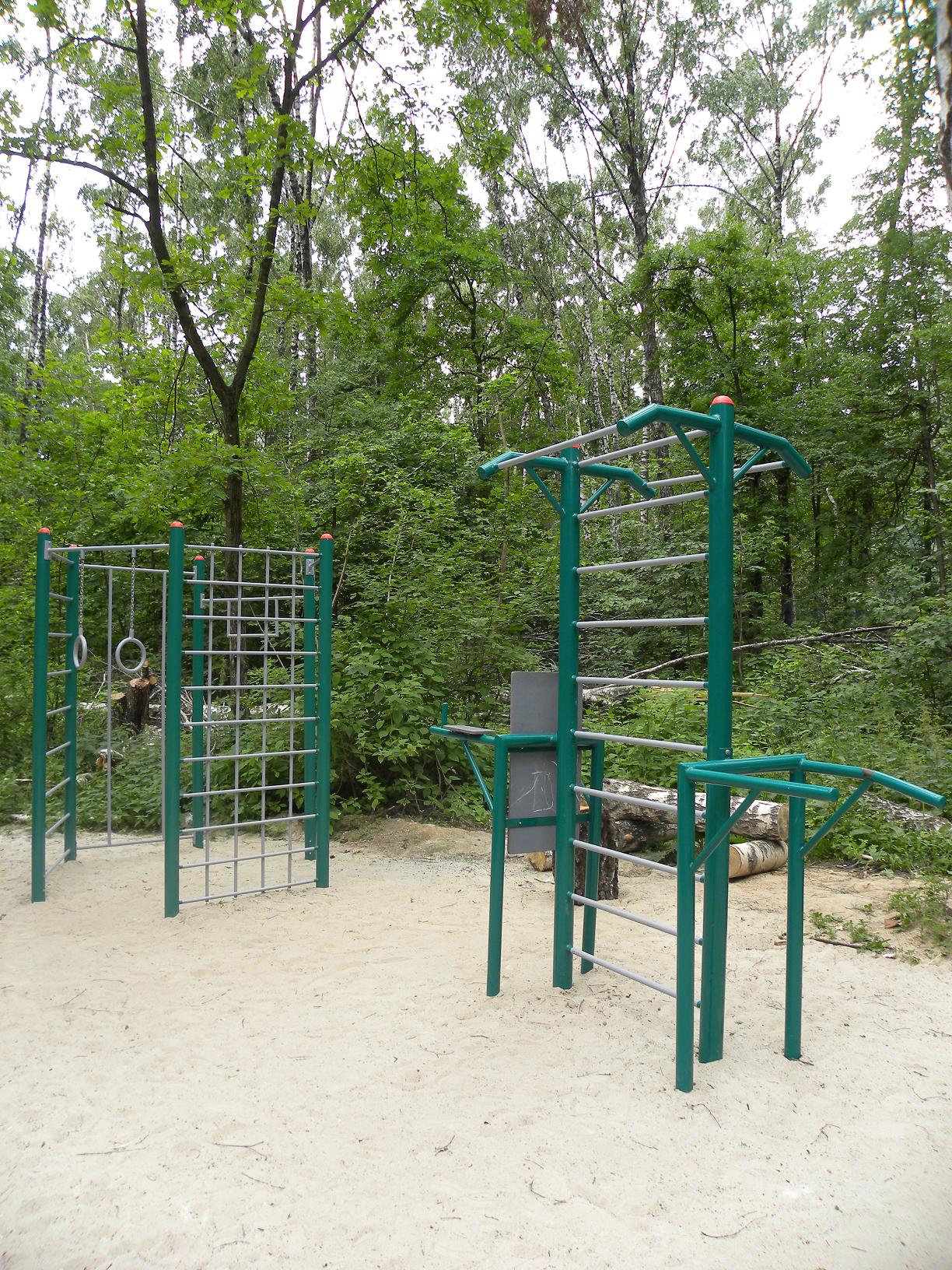 Турнік на майданчику Calisthenics Park at Балаклавский проспект, Москва #wp2723 – фото 1 з 3