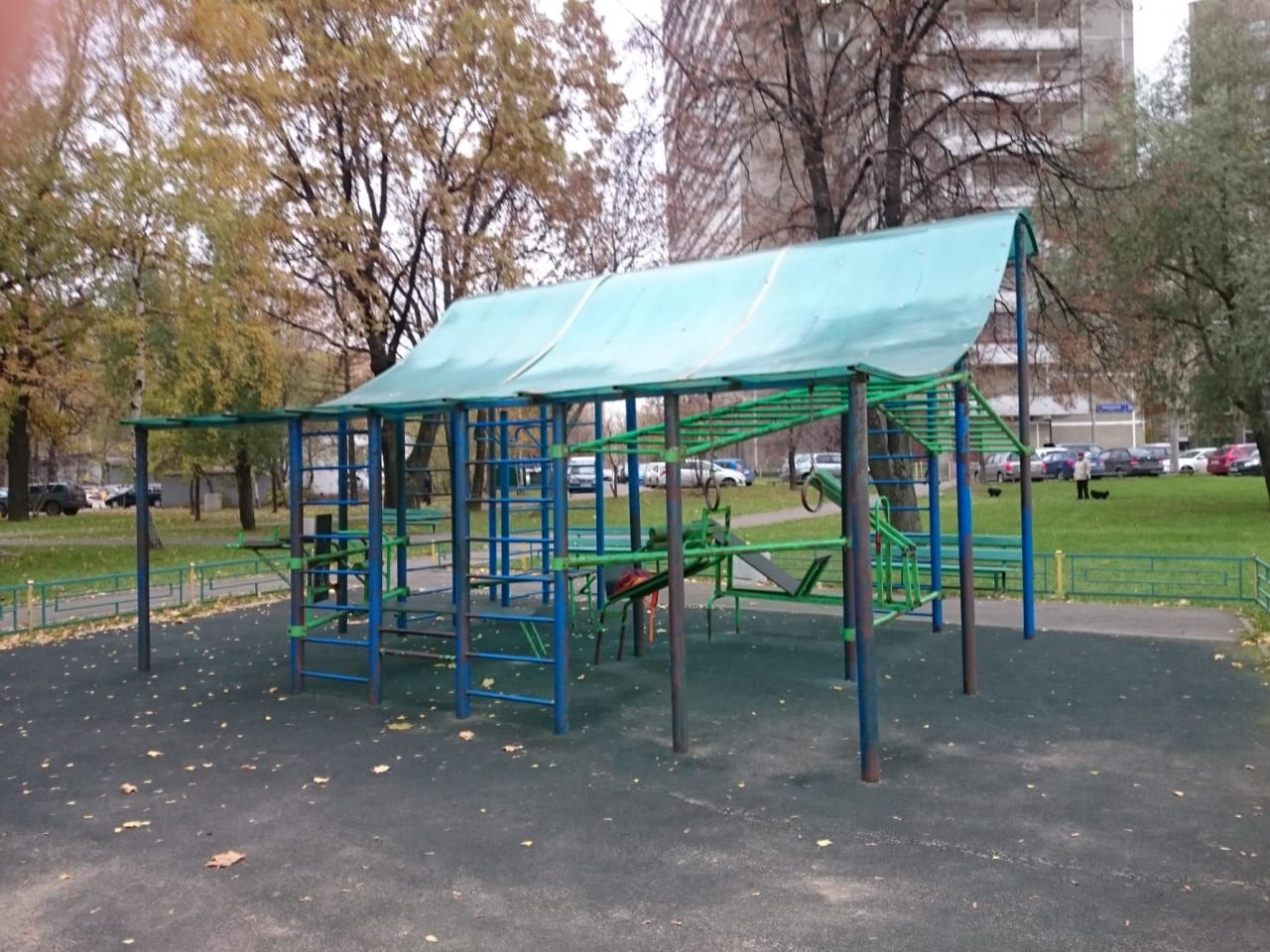 Wall Bars at Calisthenics Park at Ярославское шоссе (дублёр), Москва – photo 4 of 4