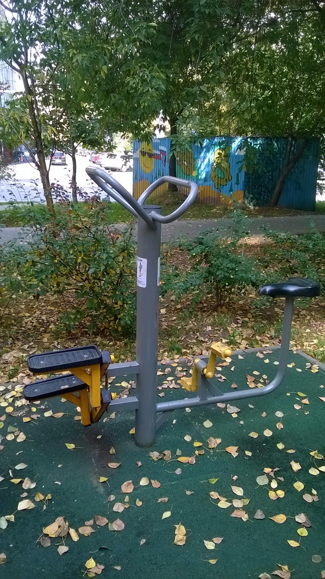 Monkey Bars at Calisthenics Park at Банный переулок, Москва #wp2758 – photo 3 of 6