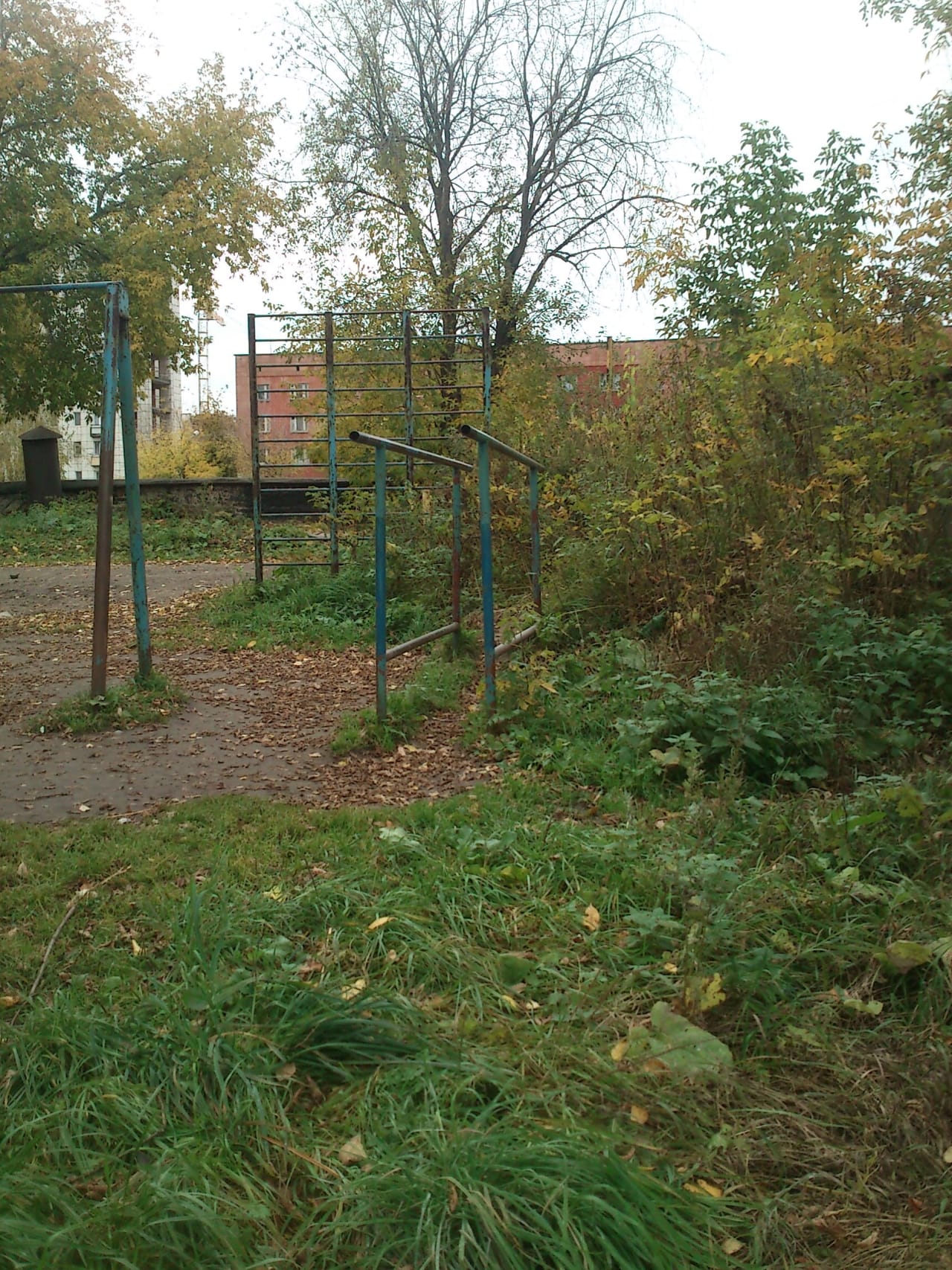 Klimmzugstange bei Calisthenics Park at улица Голева, Пермь – Foto 1 von 2