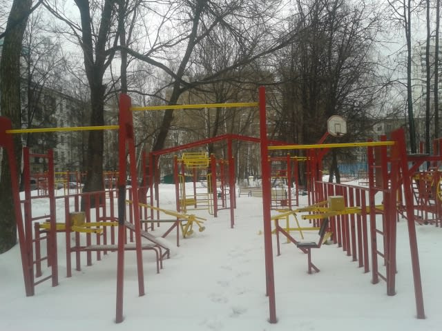 Гіперекстензія на майданчику Calisthenics Park at Ангарская улица, Москва – фото 6 з 7