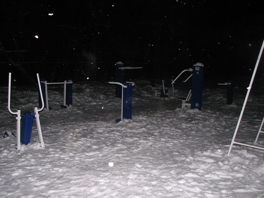 Barren bei Calisthenics Park at улица Сакко и Ванцетти, Королёв – Foto 2 von 3