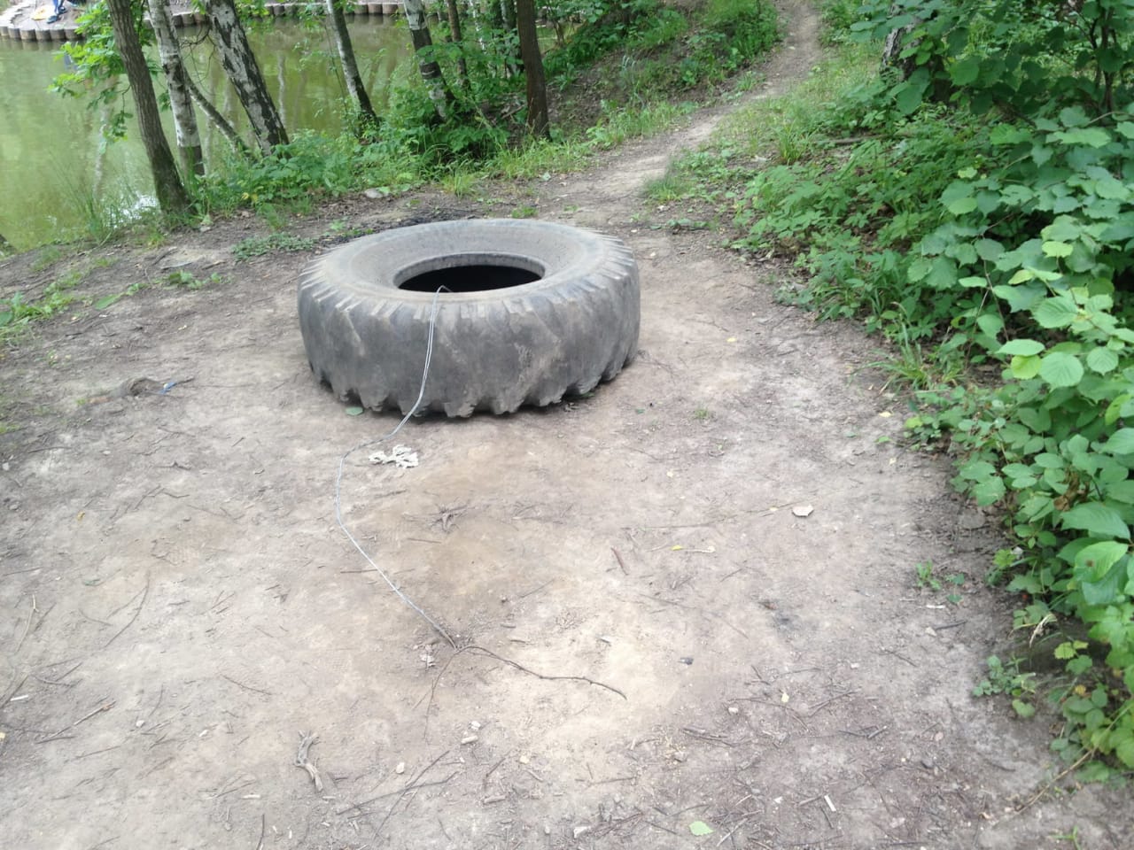 Рукоход на площадке Calisthenics Park at улица Академика Виноградова, Москва #wp2833 – фото 10 из 16