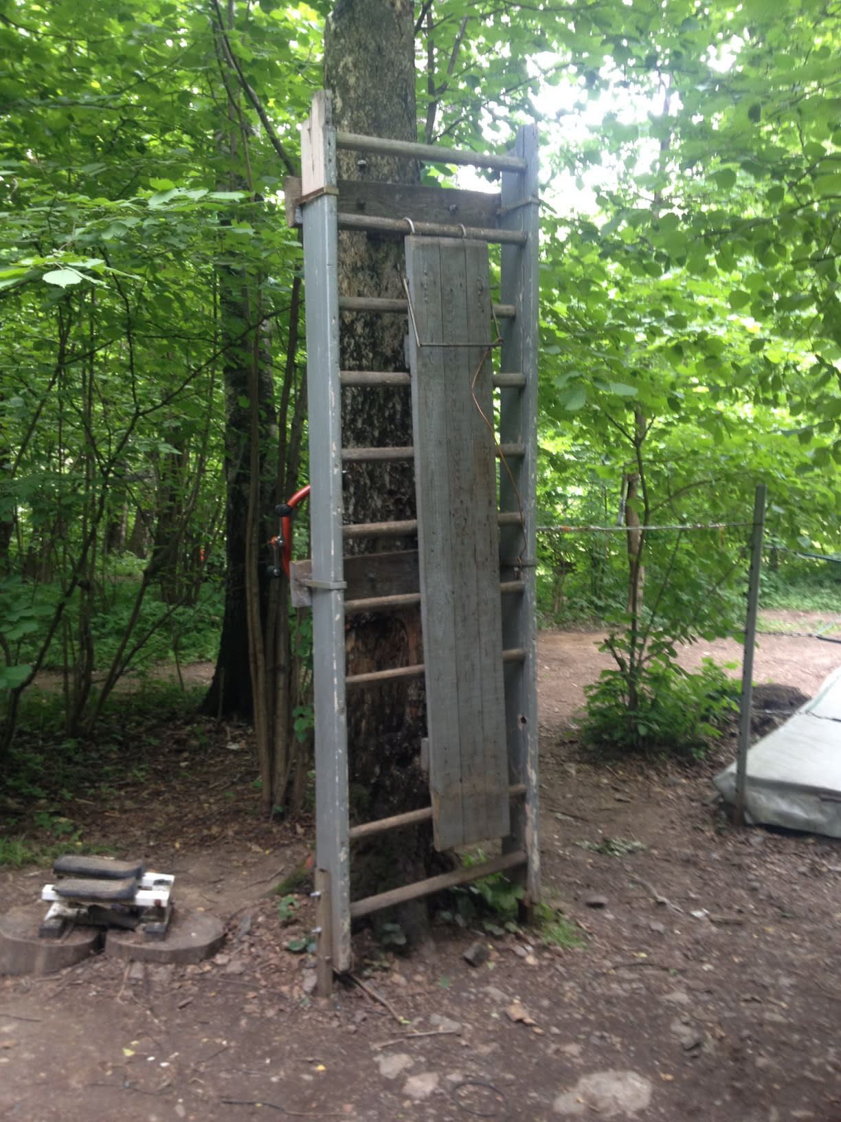 Канат для лазания на площадке Calisthenics Park at улица Академика Виноградова, Москва #wp2833 – фото 14 из 16