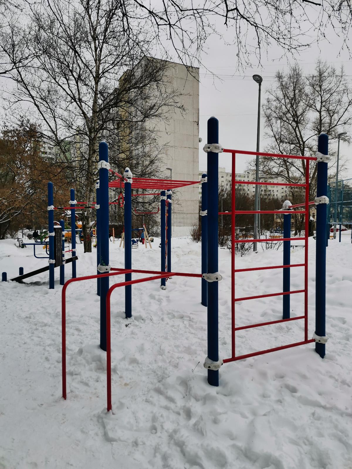 Бруси на майданчику Calisthenics Park at улица Лескова, Москва – фото 2 з 2