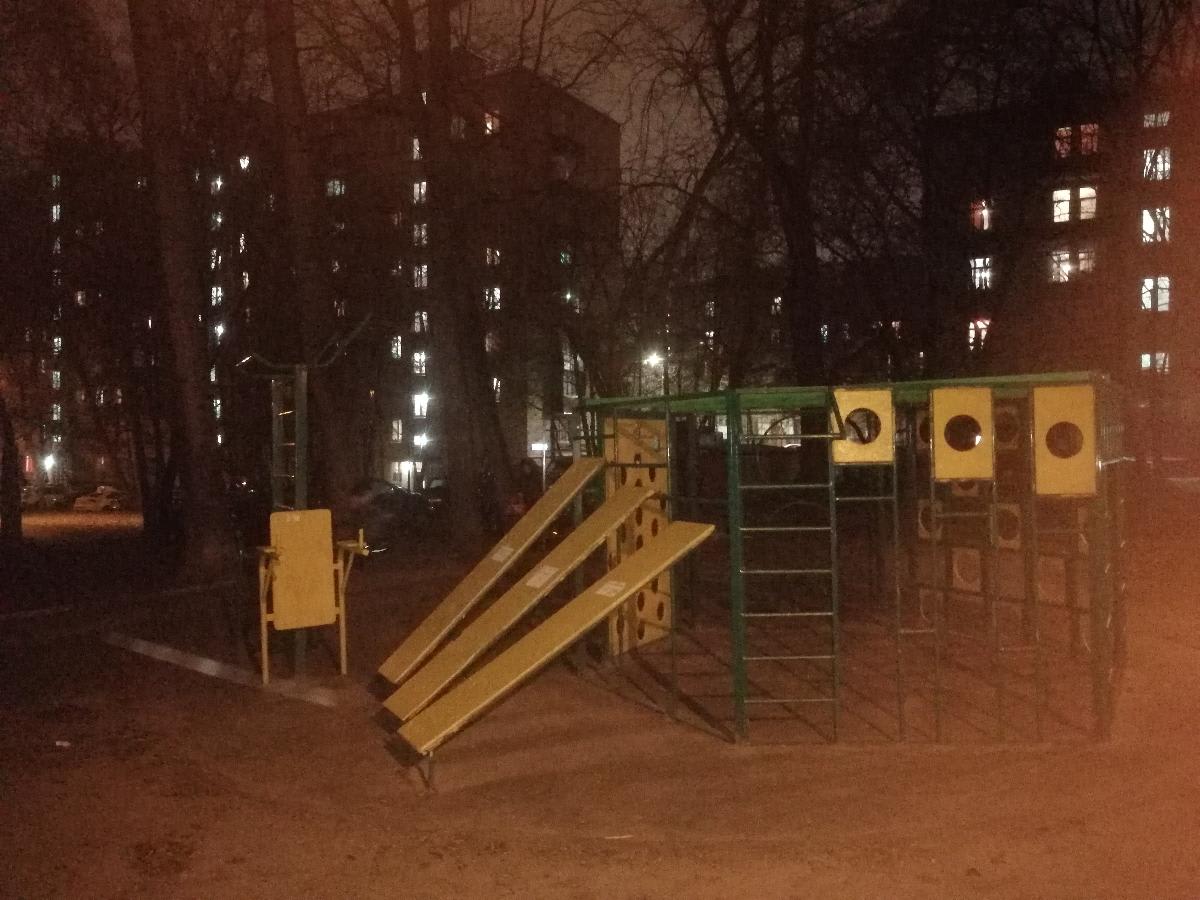 Parallel Gym Bars at Calisthenics Park at улица Маршала Неделина, Москва – photo 2 of 3