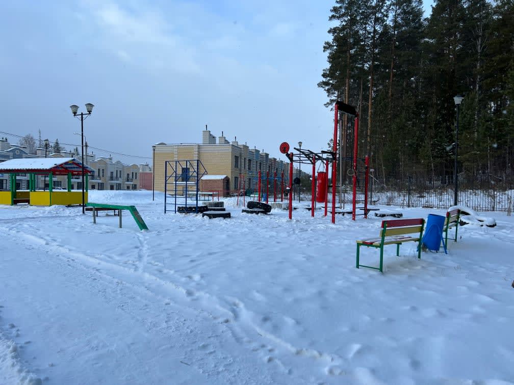 Klimmzugstange bei Outdoor Gym #wp2897 in Коптяки – Foto 1 von 2
