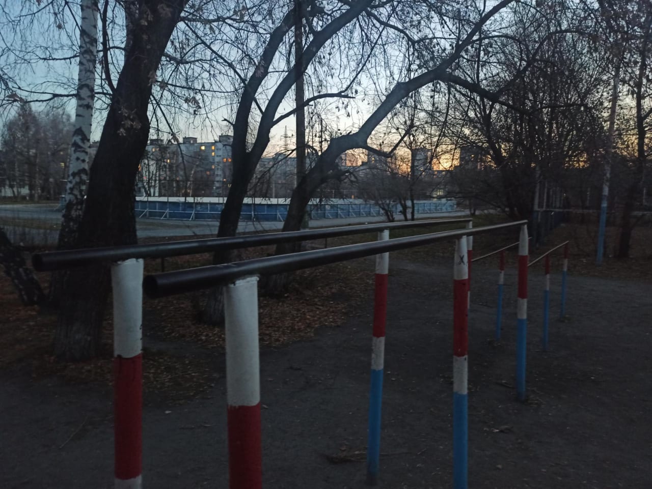 Брусья на площадке Calisthenics Park at улица Лескова, городской округ Новосибирск – фото 2 из 2