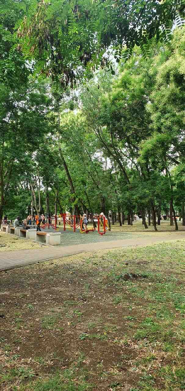 Parque de Calistenia #wp2942 - photo 3