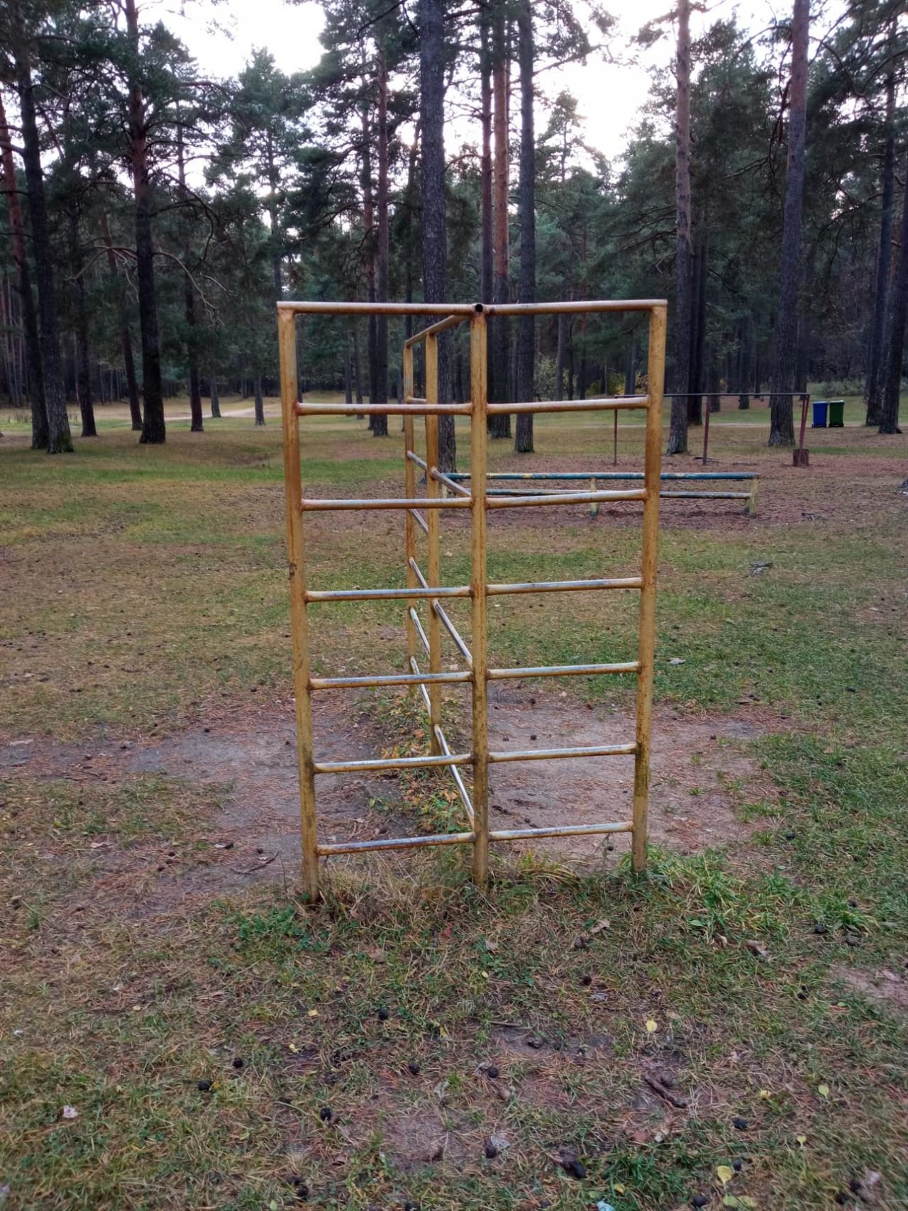 Sprossenwand bei Calisthenics Park at Лесная улица, городской округ Тверь – Foto 3 von 5