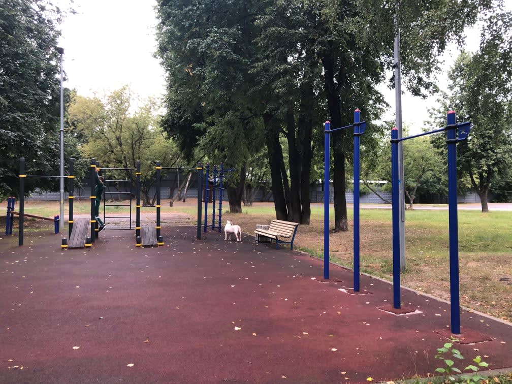 Monkey Bars at Calisthenics Park at Михневская улица, Москва – photo 3 of 3