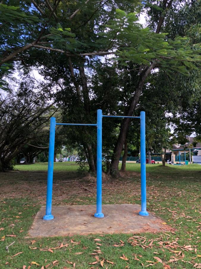 Parc de callisthénie #wp3051 - photo 3