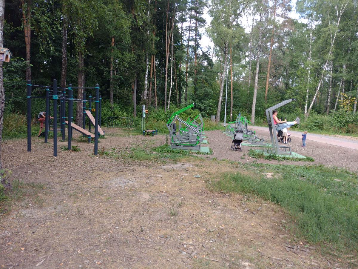 Parallel Gym Bars at Calisthenics Park at Волковское шоссе, Мытищи – photo 2 of 3