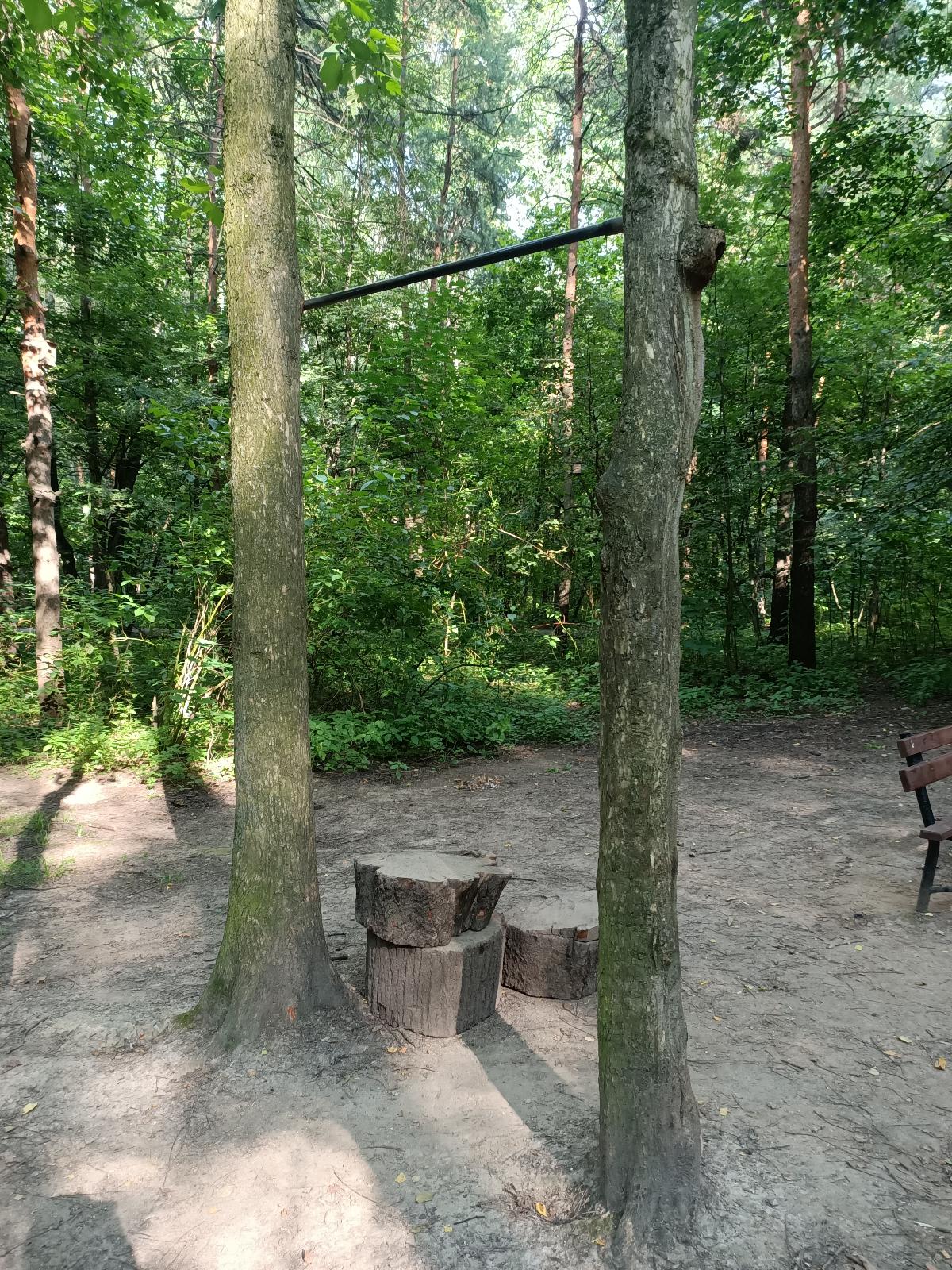 Турнік на майданчику Calisthenics Park at улица Доктора Гааза, Москва #wp3057 – фото 1 з 3