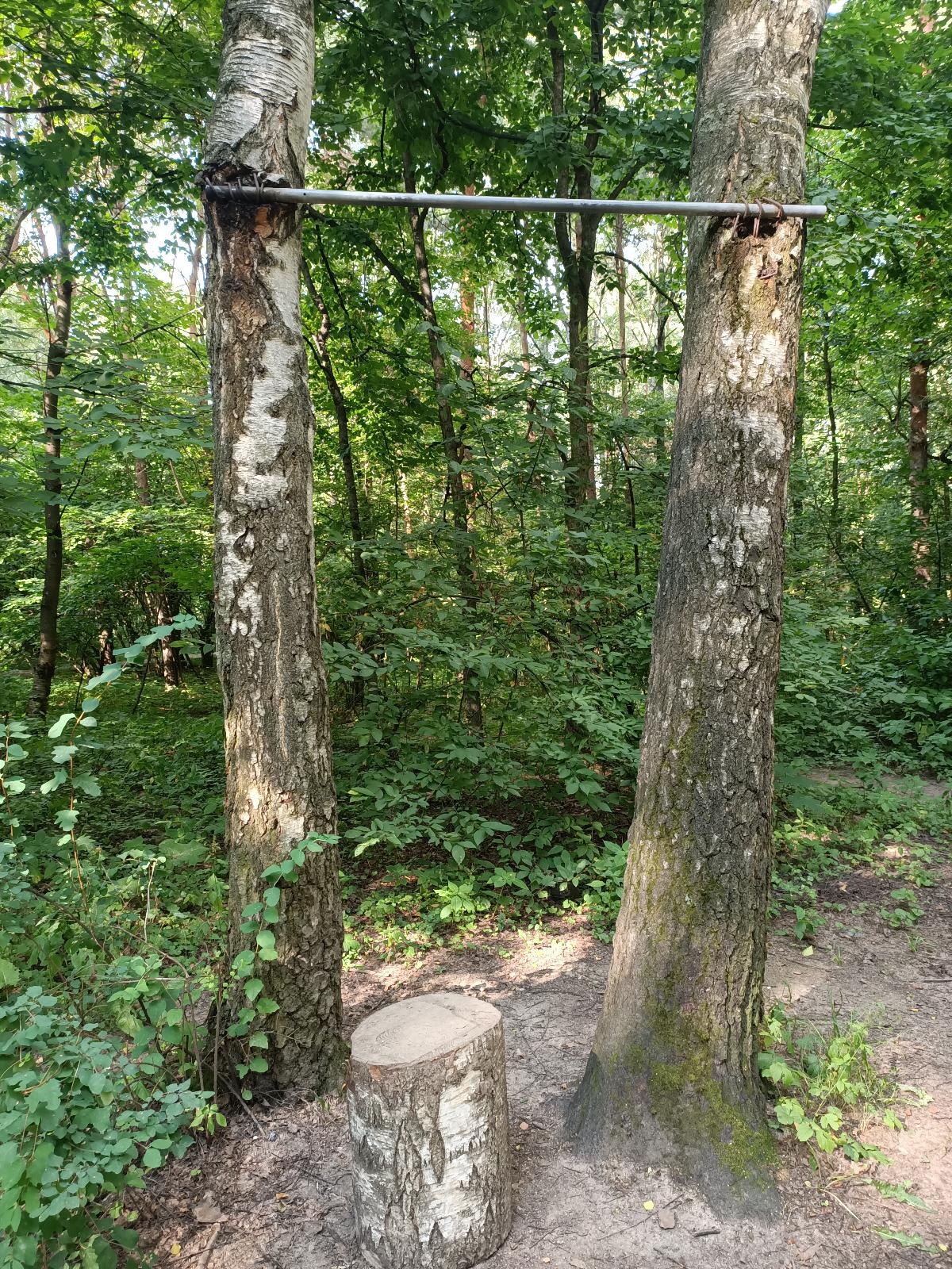 Бруси на майданчику Calisthenics Park at улица Доктора Гааза, Москва #wp3057 – фото 2 з 3