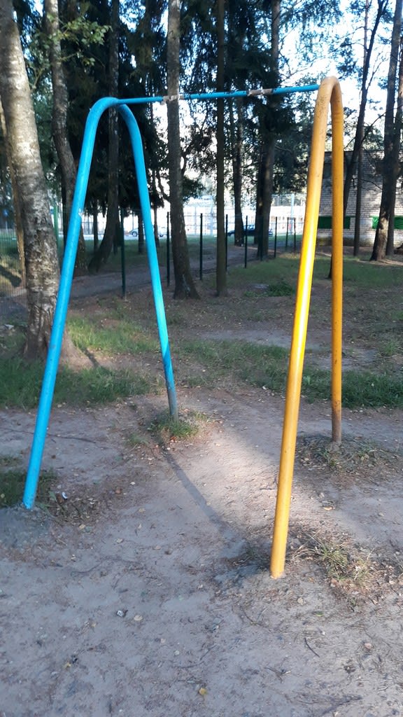 Barres de singe à Calisthenics Park at вуліца Дружбы, Наваполацк – photo 3 sur 5