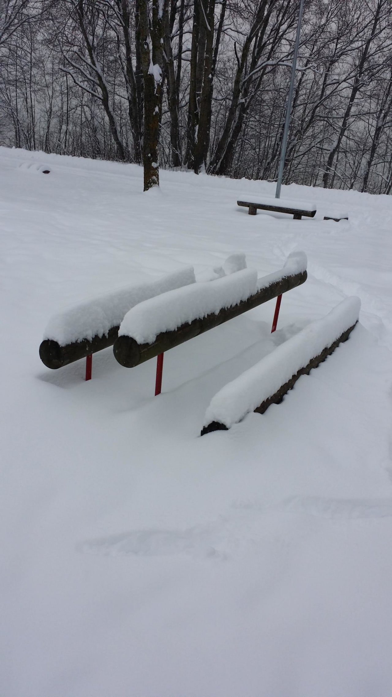 Воркаут-парк #wp3349 - photo 7