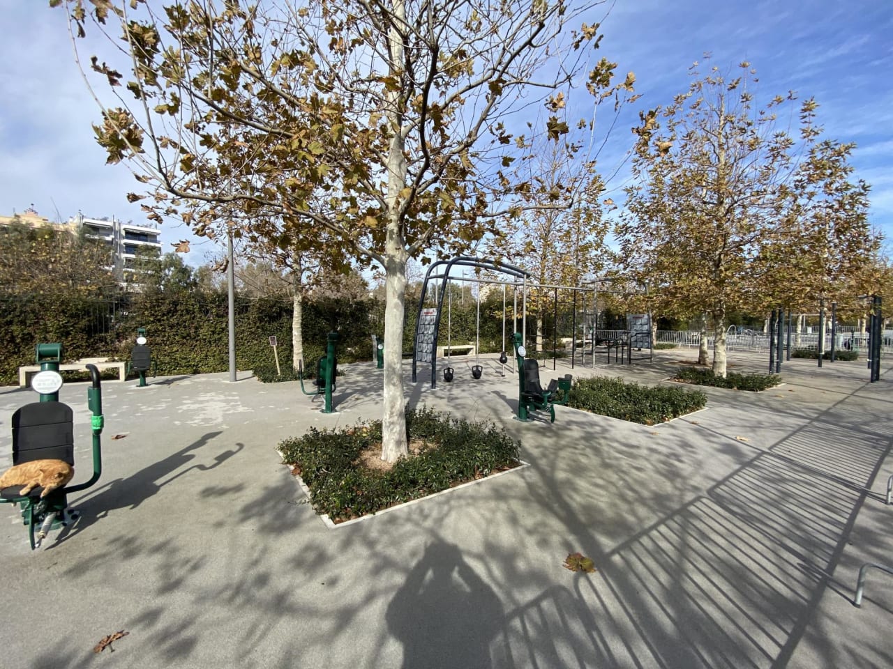Parc de calistenică #wp3352 - photo 10