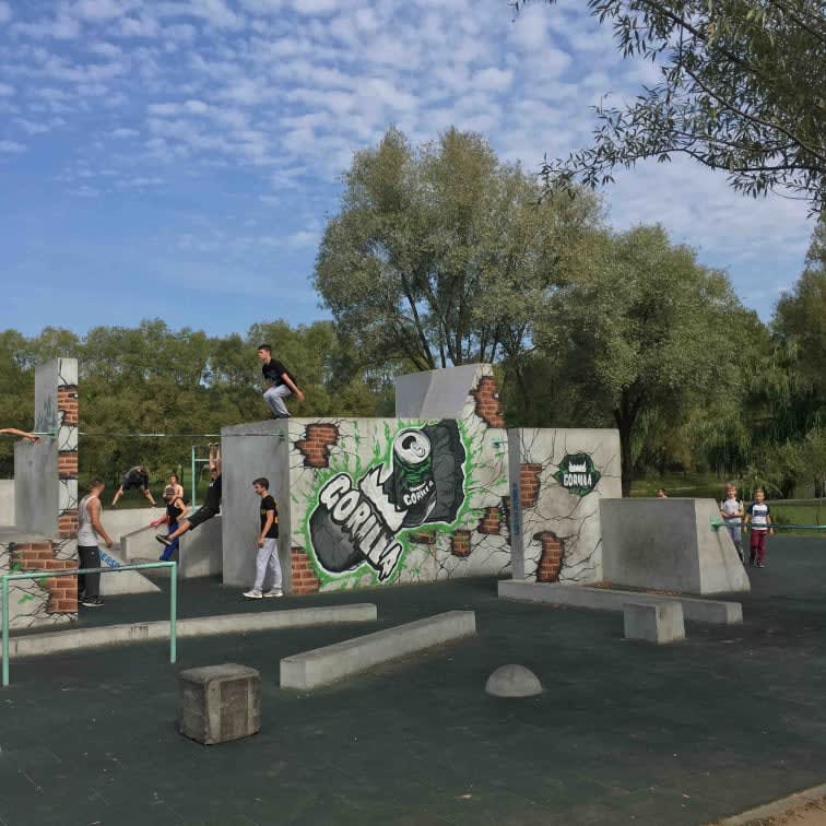 Рукоход на площадке Calisthenics Park at Парк экстрэмальных відаў спорту, Мінск – фото 3 из 4
