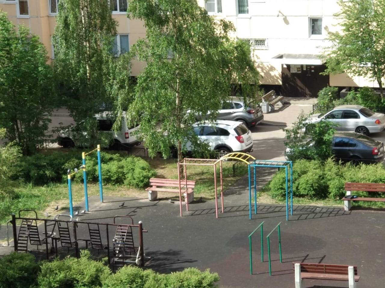 Pull Up Bar at Calisthenics Park at Приморское шоссе, Сестрорецк #wp3396 – photo 1 of 2
