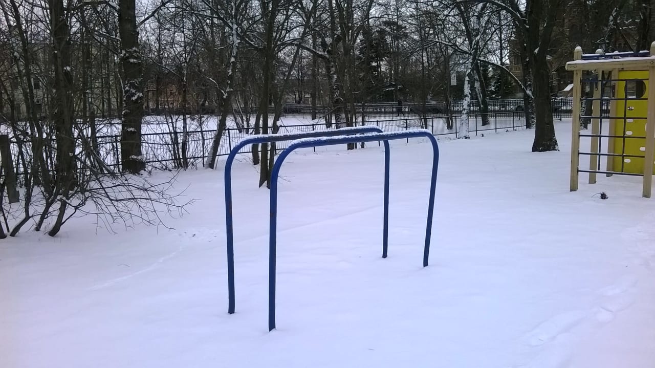 Sprossenwand bei Calisthenics Park at Санкт-Петербургский проспект, Петергоф – Foto 3 von 4