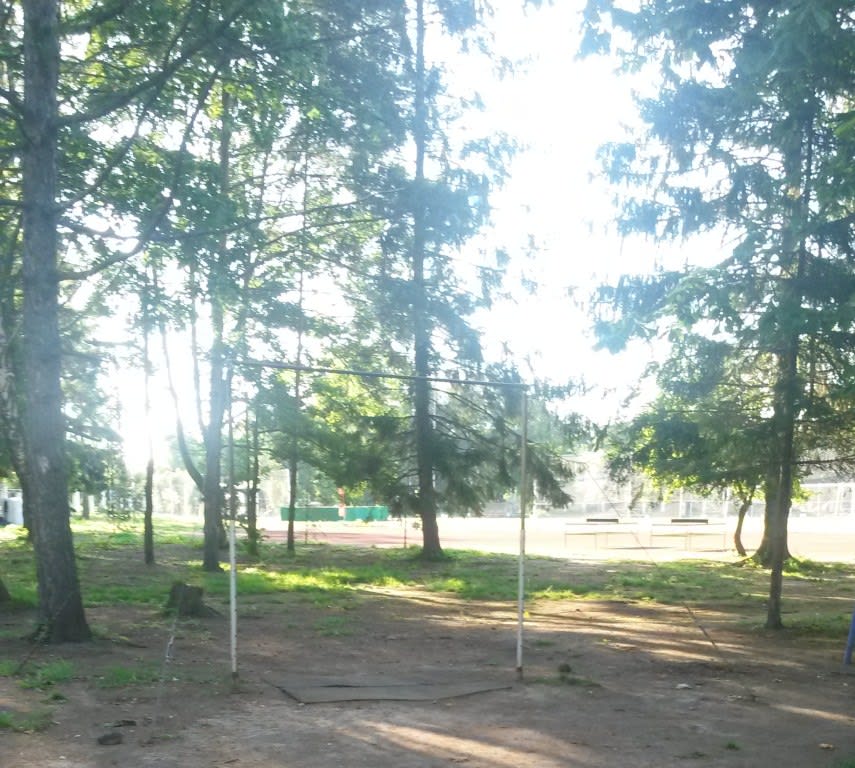 Hangelstange bei Calisthenics Park at Тулонская аллея, Кронштадт – Foto 3 von 3
