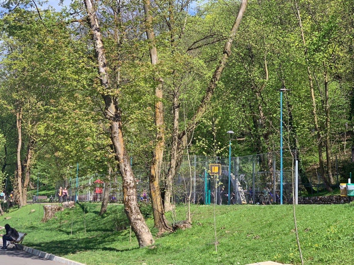 Воркаут-площадка #wp3540 - photo 4