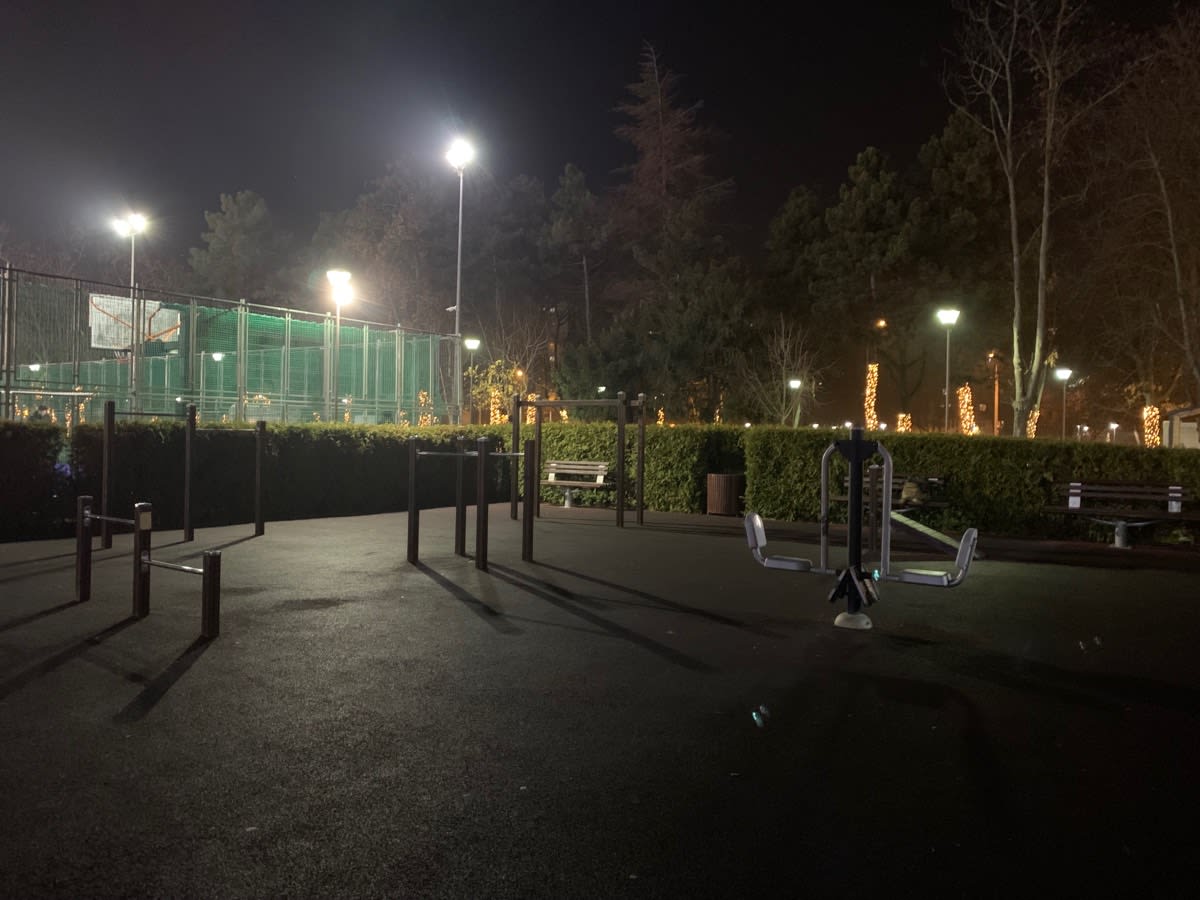 Воркаут-парк #wp3670 - photo 3