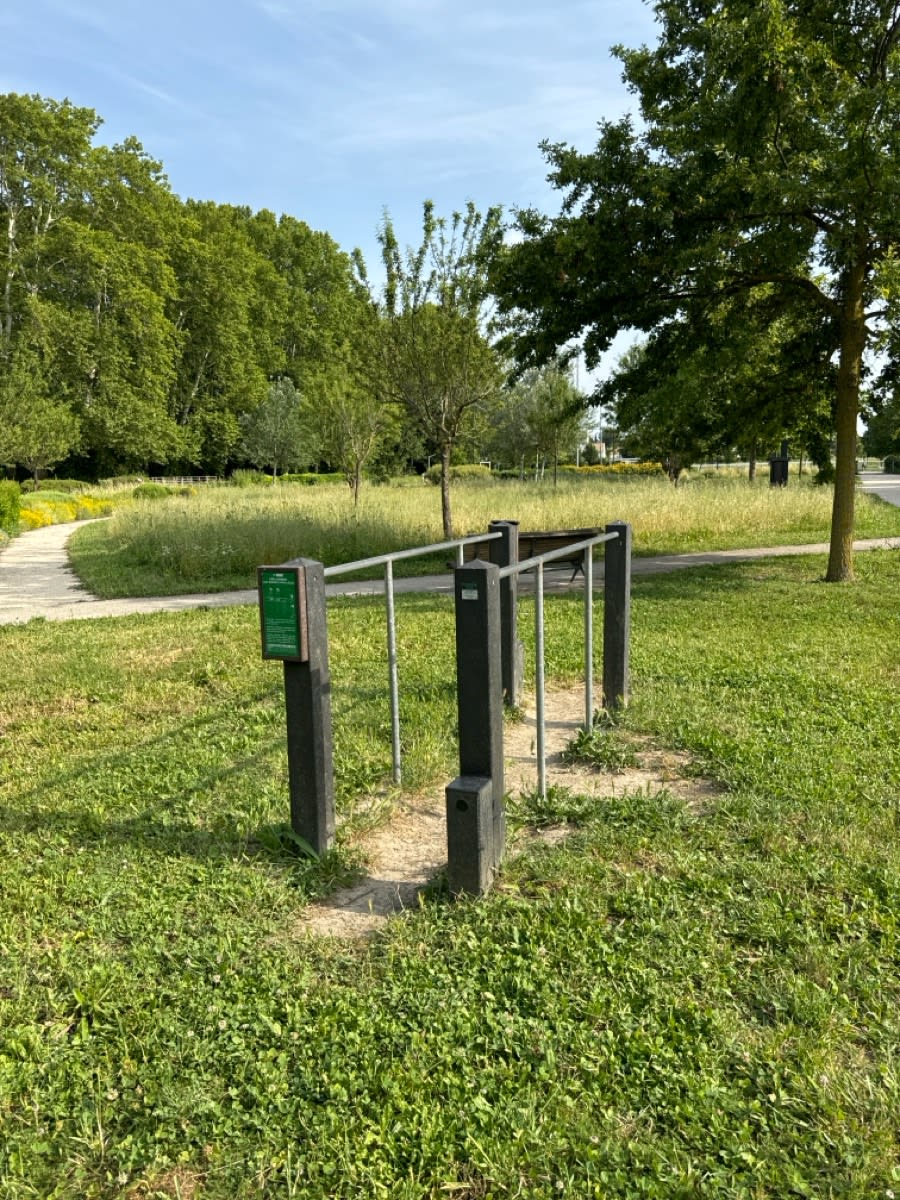 Воркаут-парк #wp3707 - photo 2