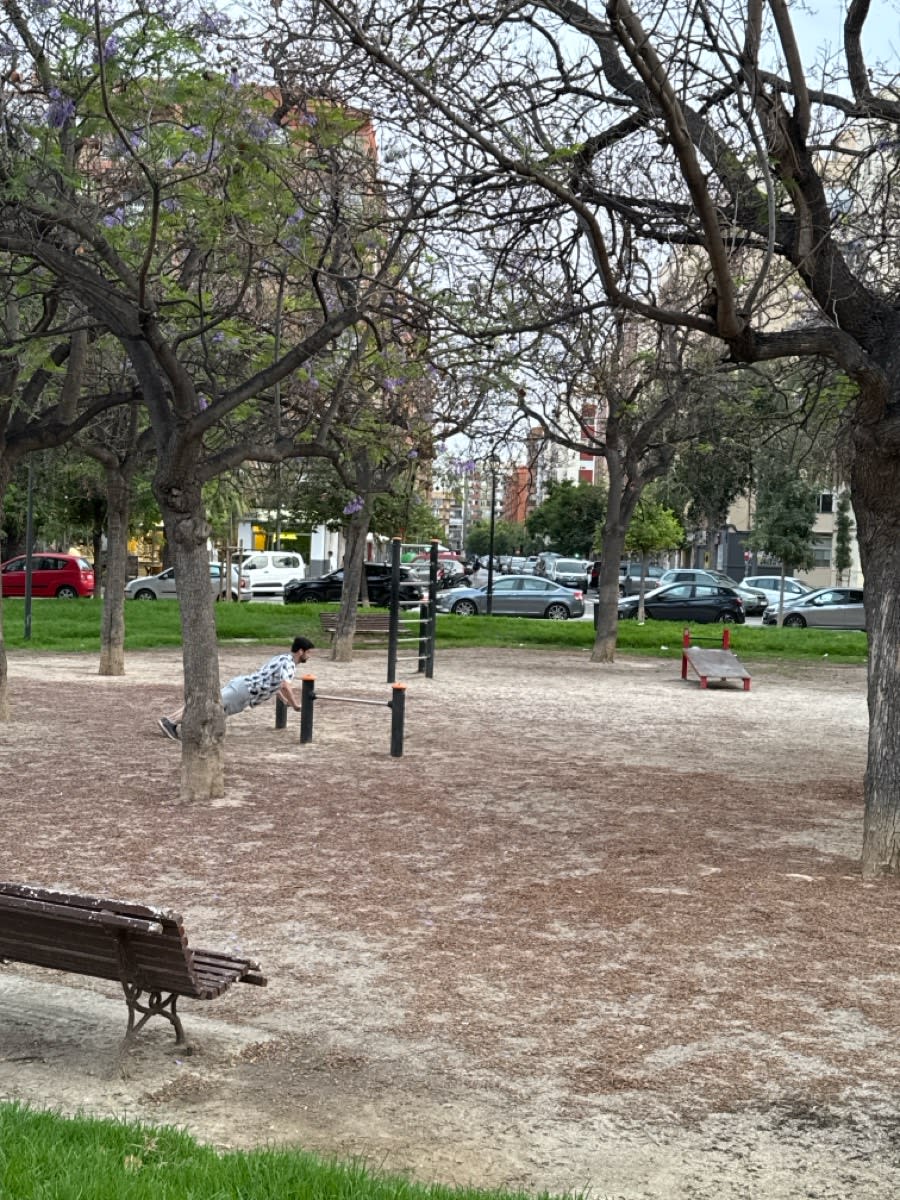 Parc de callisthénie #wp3730 - photo 3