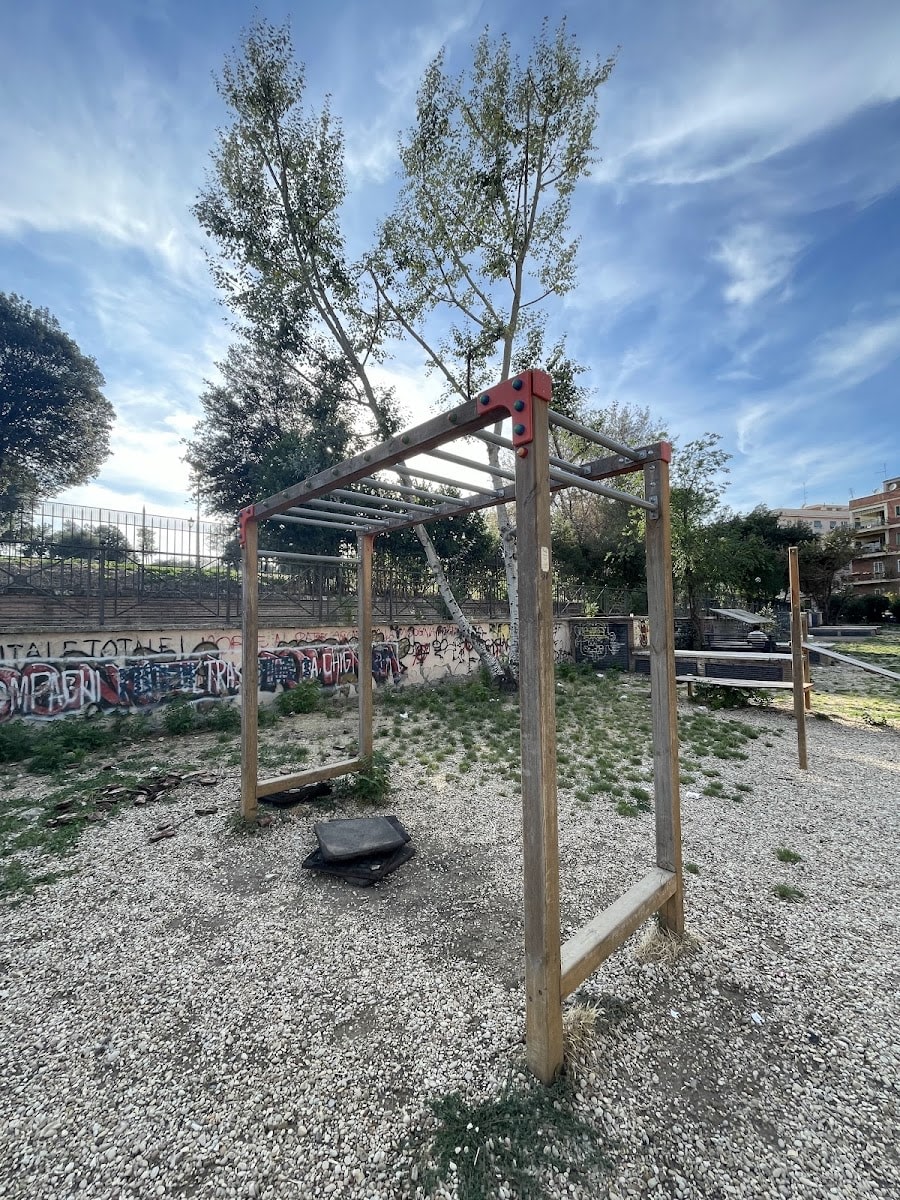 Parco Calisthenics — Gym - photo 2