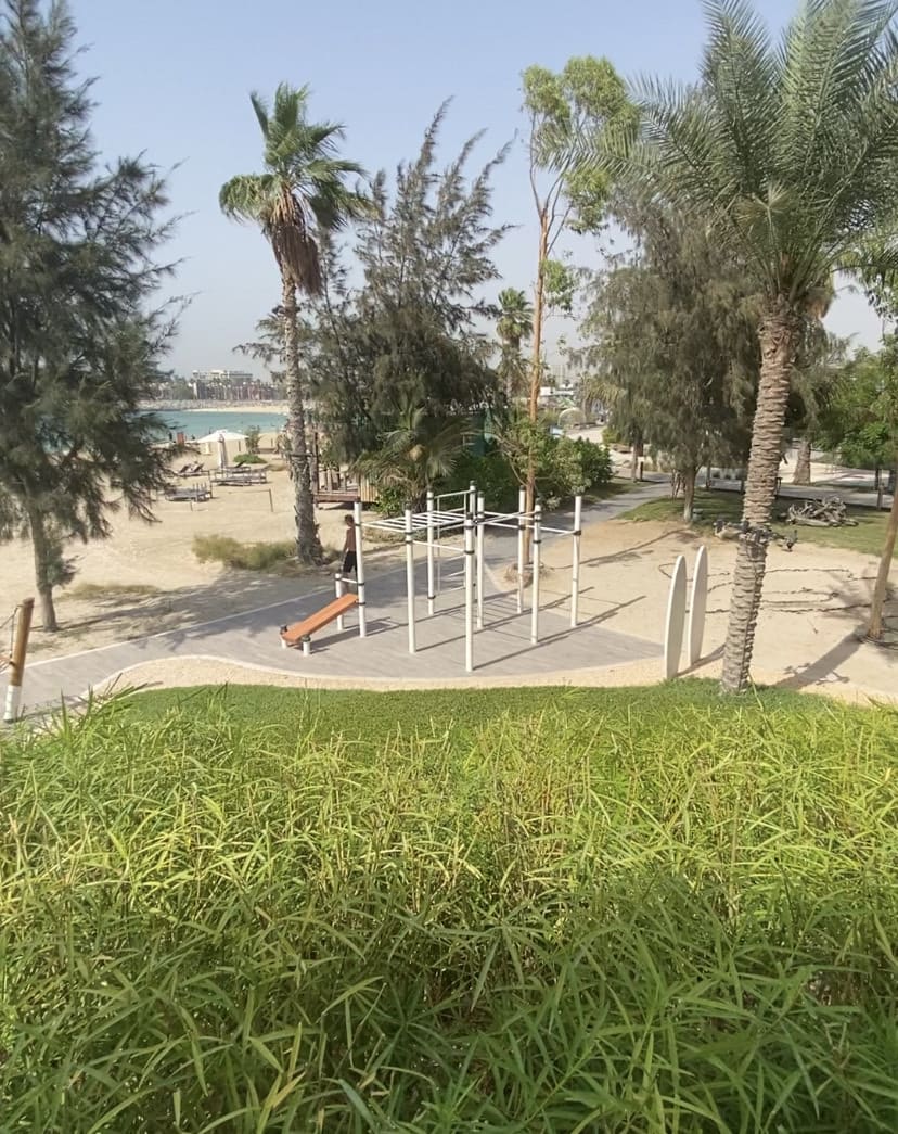 Outdoor Gym Calisthenic Park — Gym - photo 1