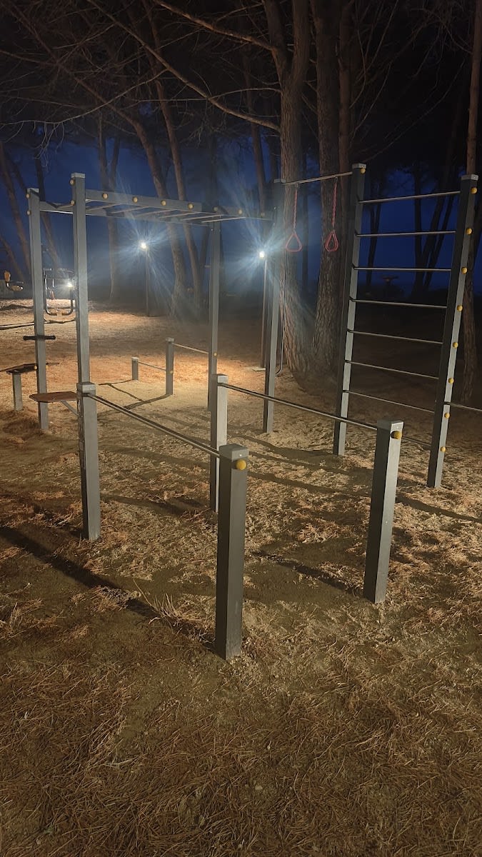 Parco calisthenics — Gym - photo 1