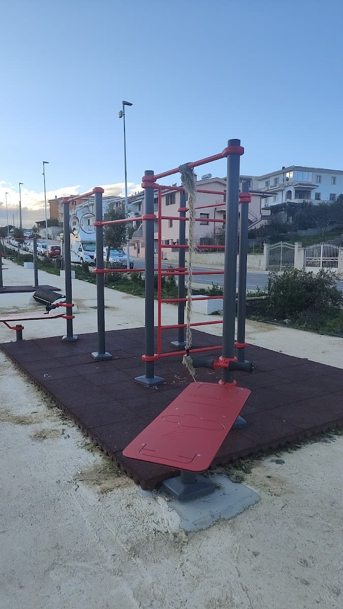 Parco calisthenics — Gym - photo 1